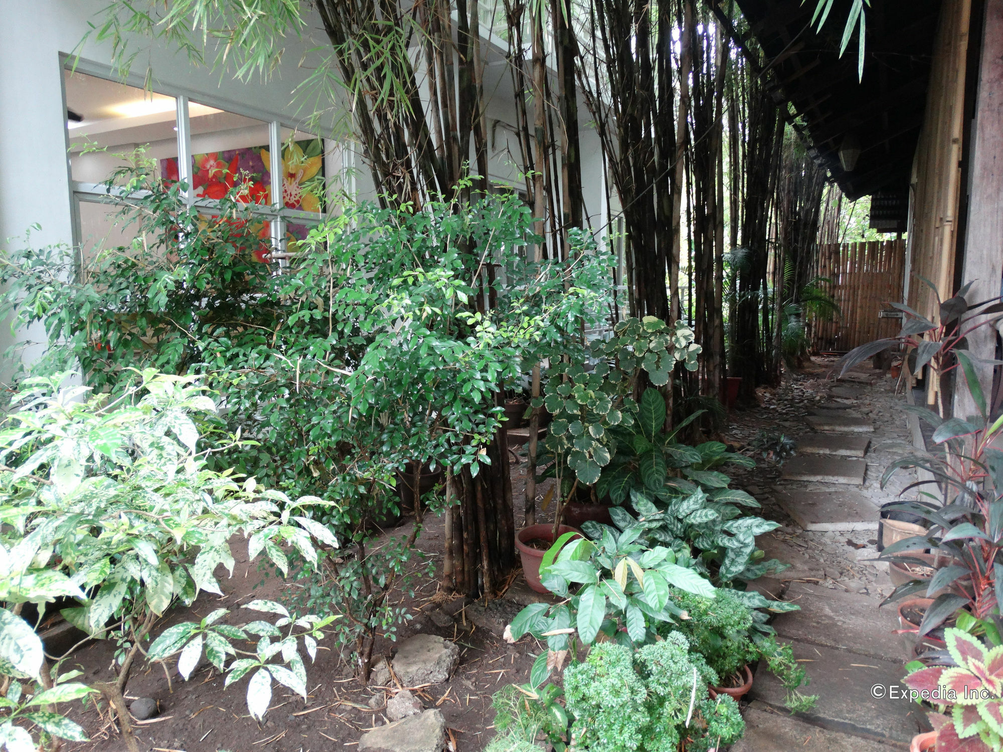 Greenspace Palawan Puerto Princesa